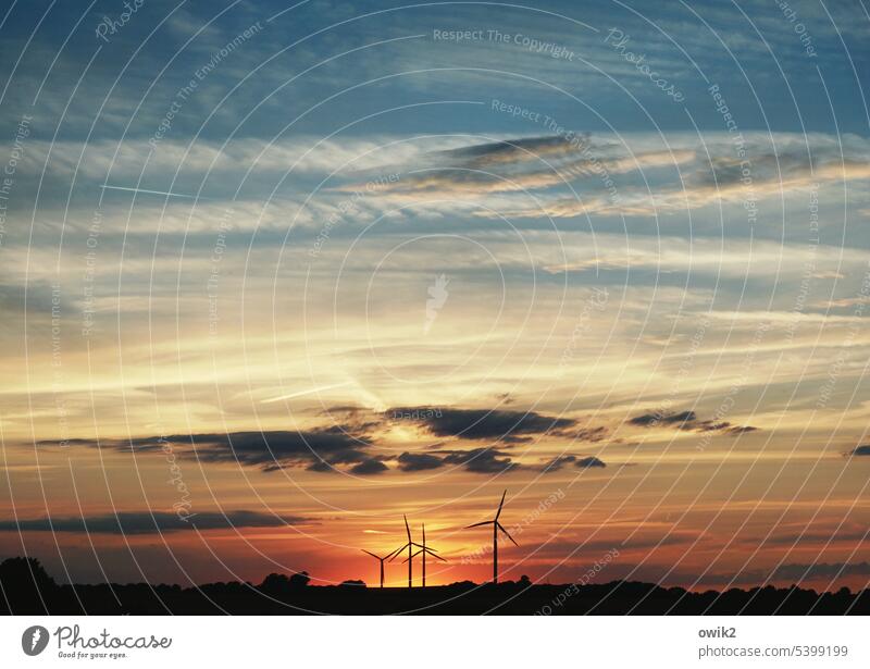 Abdrehen Energiewirtschaft Sonnenuntergang Sonnenlicht Dämmerung Abend Menschenleer Außenaufnahme Farbfoto Windkraftanlagen rotieren standhaft Verlässlichkeit