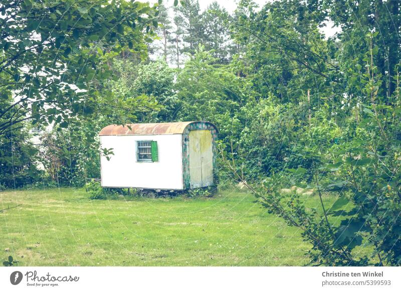 Tiny House im Grünen Bauwagen Wohnwagen alt Tonnendach angemalt abgenutzt Wiese Sträucher individuell wohnen wohnen im grünen Fenster alleine Bäume Camping