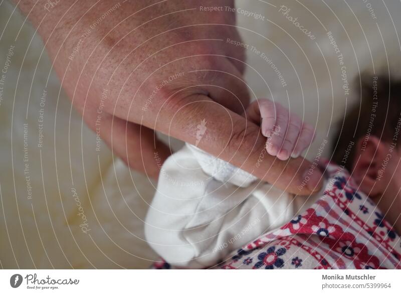 Papa hält deine Hand - ein Leben lang Baby Kind Kleinkind Finger klein Mensch Nahaufnahme Detailaufnahme Farbfoto Kindheit 1 0-12 Monate Innenaufnahme Tag