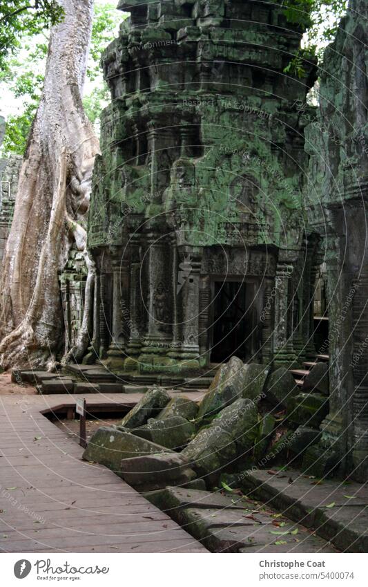 Ta Prohm-Tempel in Siem Reap Kambodscha Ta Phrom Tempel - Gebäude tropischer Regenwald Angkor alte Ruine ruiniert antik Archäologie Architektur Asien