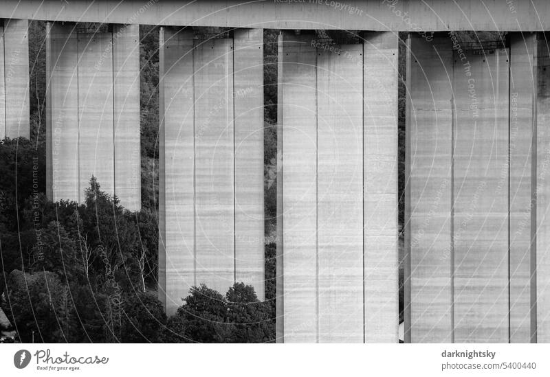Pfeiler einer massiven Brücke aus Beton mit Bäumen Bogen Architektur Brückenpfeiler Autobahn Außenaufnahme Säule Verkehrswege Hochstraße Perspektive elegant
