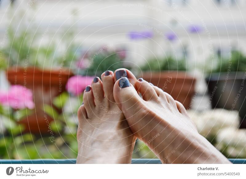 Füße hoch auf Balkonien Barfuß Fuß Erholung Sommer Zehen Farbfoto Frauenfüße lackierte Fußnägel lackierte Nägel Nagellack feminin nackte Füße Entspannung