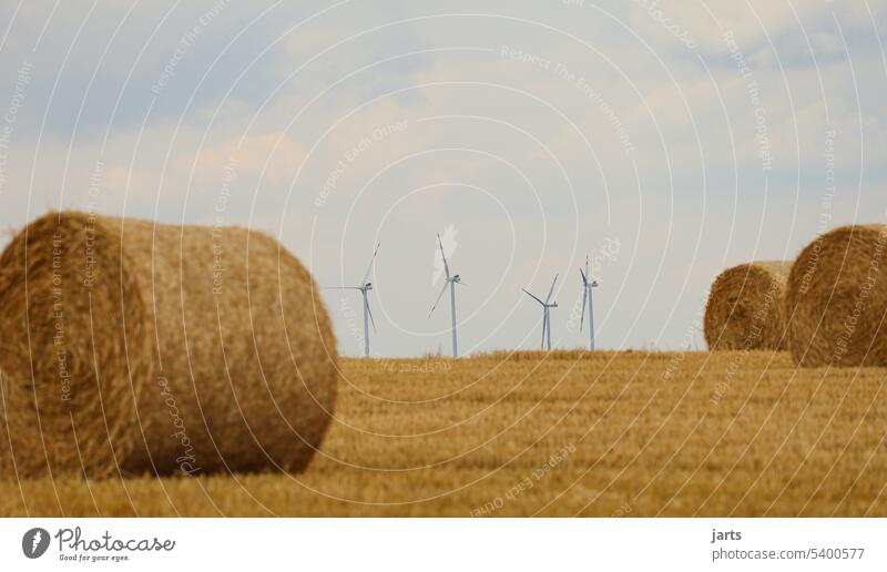 Ernte vs. Windkraft Rundballen Feld Landwirtschaft Natur Ackerbau Getreide Korn Ernährung Sommer Umwelt ökologisch Landschaft Wachstum Futter Stroh Windenergie