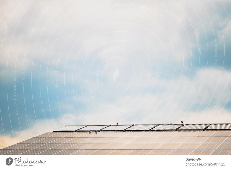 Solar und Photovoltaik auf dem Dach eines Hauses Solarzelle Energiegewinnung Solarenergie Photovoltaikanlage Erneuerbare Energie innovativ Sonnenlicht