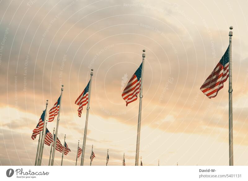 Amerikanische Flaggen im Sonnenlicht Fahne USA Patriotismus Stars and Stripes Wind Fahnenmast Amerikaner Sonnenstrahlen Stolz wehen
