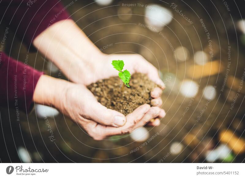 etwas einpflanzen - Frau hält einen Setzling in den Händen Zukunft nachhaltig Erde Natur Wachstum wachsen klein Garten Leben Boden Pflanze Frühling