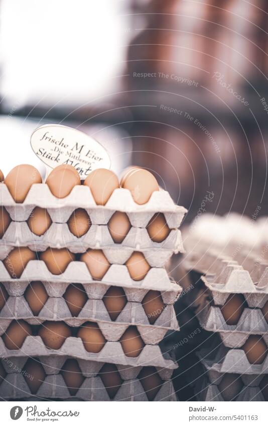 Eier auf dem Wochenmarkt Eierpaletten Verkauf regional frisch Marktstand Ernährung Lebensmittel Ostern Markttag