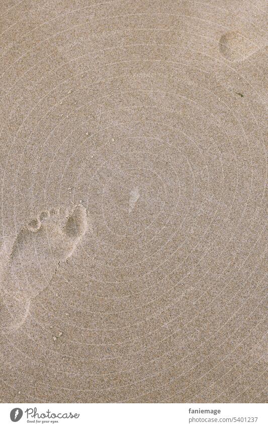 Spuren im Sand spuren Fußstapfen Abdruck Strang Sommer Gefühl Sandkörner Laufen Gehen sommerlich Sommerurlaub Barfußpfad