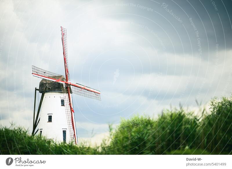 alte Windmühle in der Natur Mühle historisch Ferien & Urlaub & Reisen Himmel Landschaft Flügel Mahlwerk