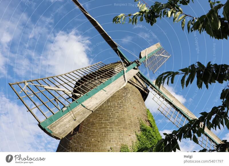 historische Windmühle vor blauem Himmel mit Wölkchen Wallholländerwindmühle alt Bauwerk Architektur Windmühlenflügel Froschperspektive Wolken Zweige Sommer
