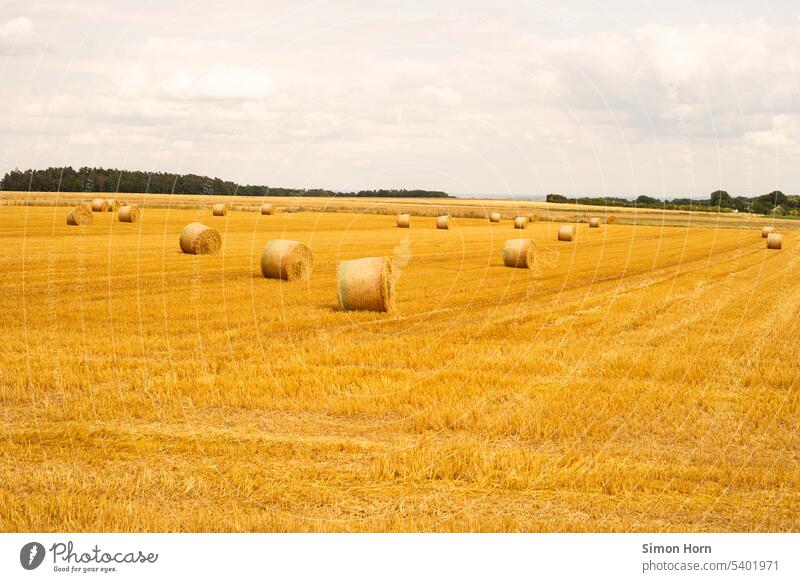 Strohballen auf einem gemähten Feld Ernte Futter Landwirtschaft Ernährung Getreide Ackerbau Horizont gelb Nutzpflanze Ertrag Lebensmittel Grundlage Getreidefeld