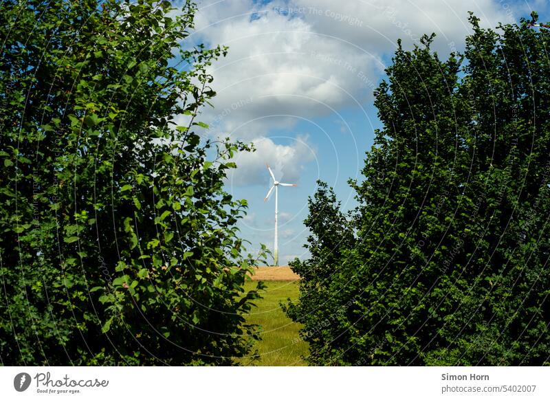 Windkraftanlage zwischen zwei großen Büschen Landschaftsbild Stillleben Erneuerbare Energie Windrad Elektrizität Energiewirtschaft Technik & Technologie