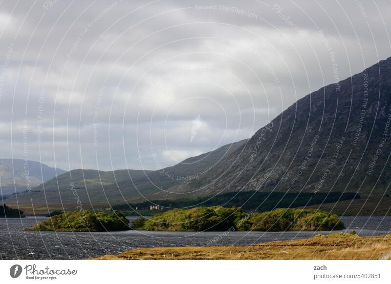 Connemara / Irland grün Republik Irland Natur Landschaft Wolken Wiese Gras Hügel Wasser See Berge u. Gebirge hügelig Himmel wolkig bewölkt