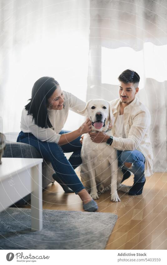 Glückliches Paar zu Hause, das einen Hund streichelt und mit ihm posiert Tier Appartement Frau flach Stock Fröhlichkeit heimwärts Innenbereich Licht Mann