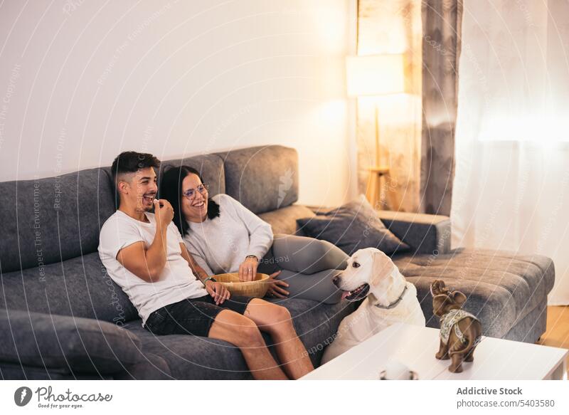 Lächelndes Paar zu Hause, das mit seinem Hund einen Film schaut Appartement Kaukasier Komödie bequem Termin & Datum tagsüber Essen genießen Filmmaterial flach