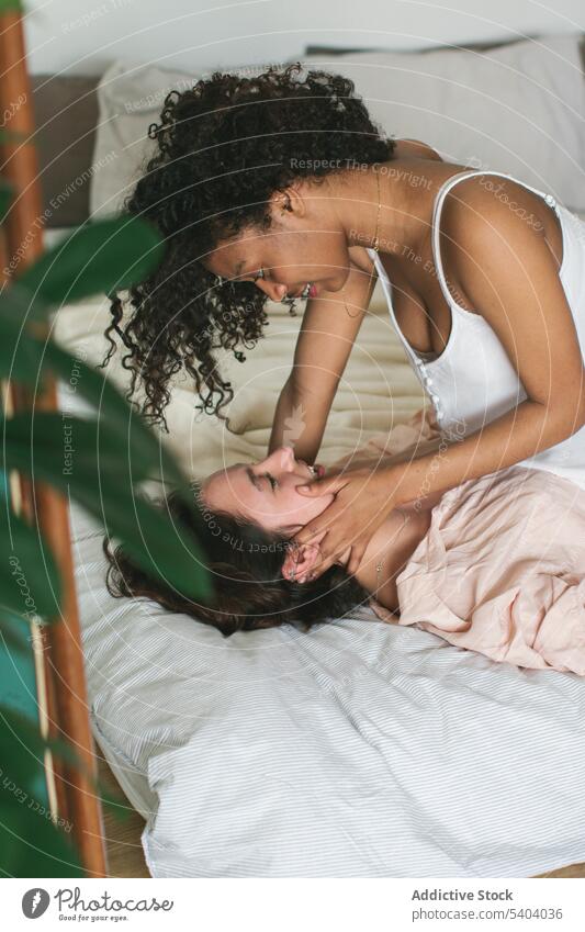 Schwarze Frau sitzt und berührt das Gesicht ihrer vielfältigen Freundin Frauen Partnerschaft Bonden Bett sanft Angebot berühren Leidenschaft jung