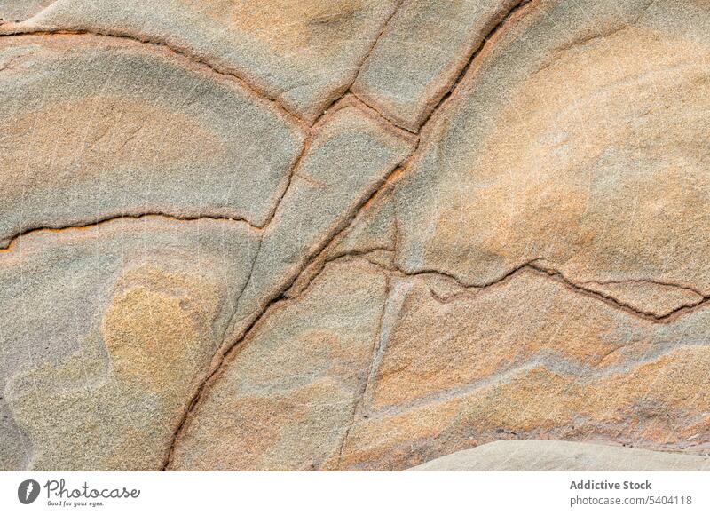 Nahaufnahme von Mustern in verwittertem Sandstein am Strand im Olympic National Park an der Küste von Washington Olympic-Nationalpark abschließen Riss geknackt