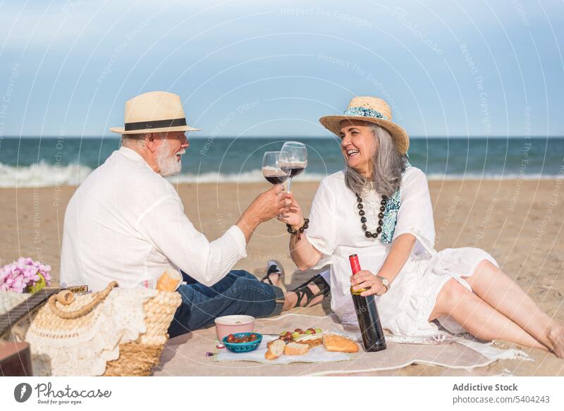 Älteres Paar genießt Picknick am Strand Weinglas Klirren jubelt Zuprosten Liebe Glück Partnerschaft Zusammensein romantisch MEER Feiertag Zuneigung trinken