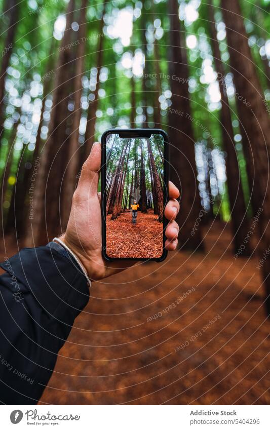 Crop-Tourist fotografiert Wanderer im Wald Person anonym fotografieren Smartphone Reisender Baum Natur Bildschirm benutzend Wälder Kantabrien Spanien Foto