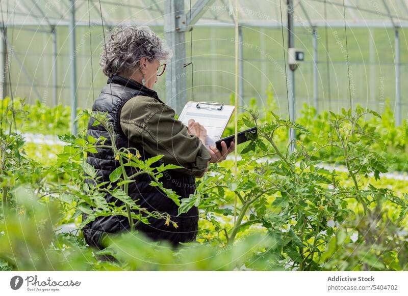 Ältere Landwirtin macht sich während der Inspektion im Gewächshaus Notizen Frau Pflanze zur Kenntnis nehmen inspizieren kultivieren untersuchen Kleinunternehmen