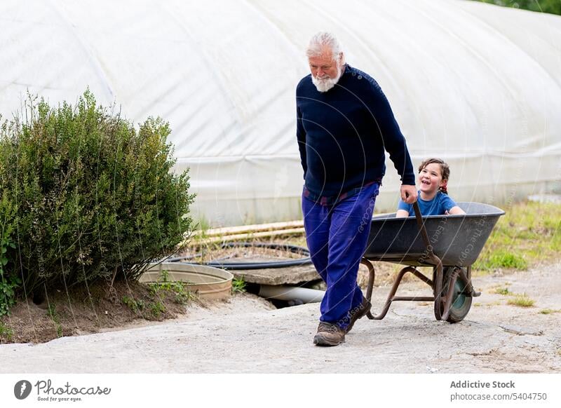 Älterer Mann, der eine Schubkarre mit seiner Enkelin im Gewächshaus zieht Großvater Landwirt Gartenwagen Spaß haben Landwirtschaft männlich Agronomie ländlich