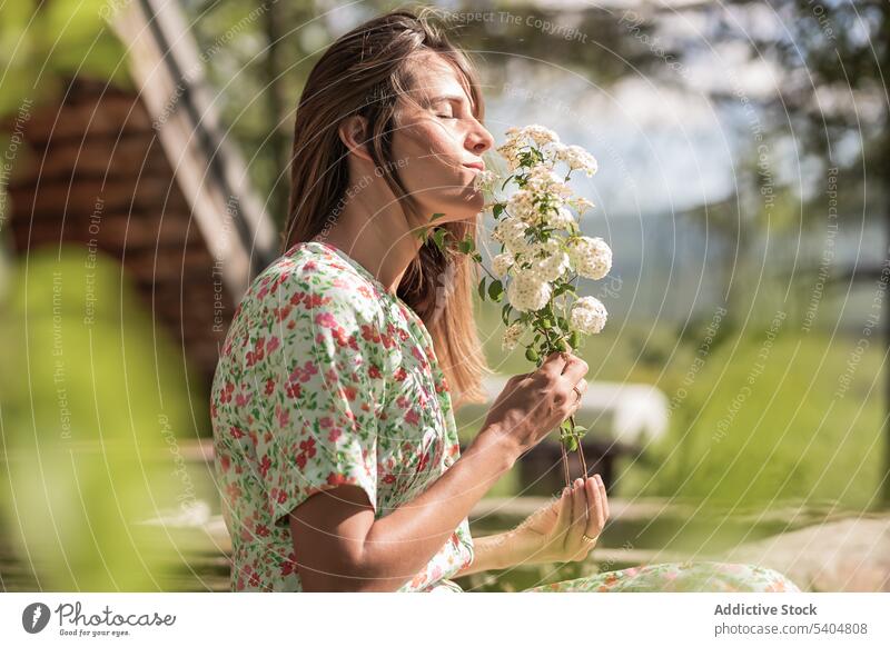 Ruhige Frau riecht an Blumen in der Natur riechen Landschaft Sommer genießen Augen geschlossen Wittern Garten Blütezeit Flora Angebot Zweig Aroma verträumt