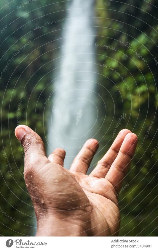 Die Hand einer Person öffnet sich zu einem Wasserfall im Wald Handfläche tropisch Natur grün malerisch gestikulieren exotisch Finger Baum Dschungel Harmonie