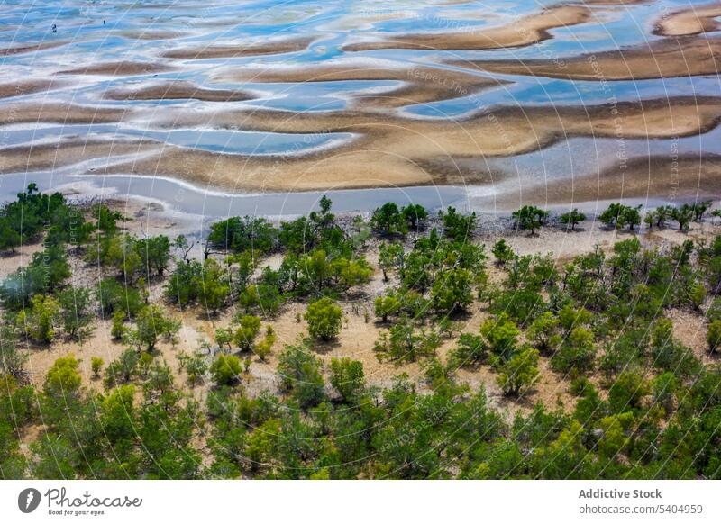 Erstaunliche Aussicht auf Meerwasser und Sanddünen an einem sonnigen Tag Strand Ufer MEER Düne Buchse Mangrove Baum malerisch Flachbett Natur Landschaft