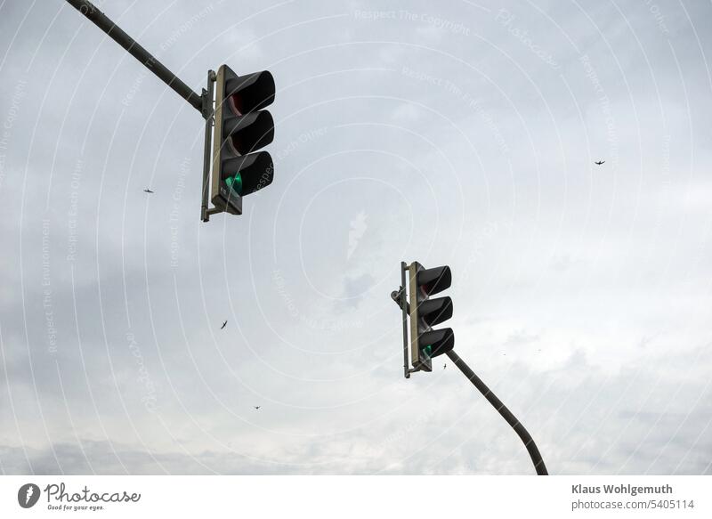 Lichtsignalanlage (Verkehrsampel) vor grauem, bewölkem Himmel. Mauersegler jagen am Himmel nach Insekten. Ampel Ampelanlage Straßenverkehr Außenaufnahme