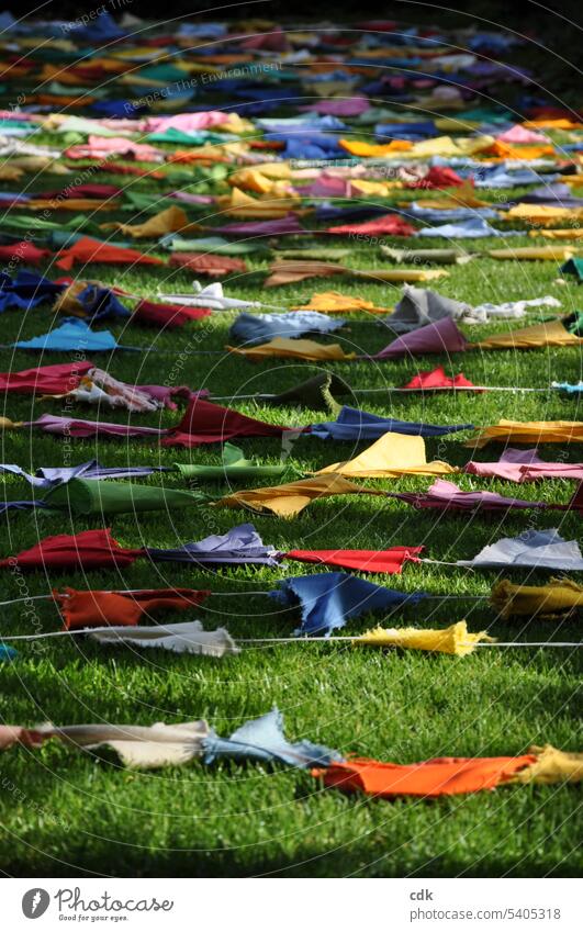 Eine bunte Stoff-Girlande vom Sommerfest trocknet nach dem Regen auf der Wiese in der Sonne. Dekoration & Verzierung mehrfarbig Fröhlichkeit Veranstaltung