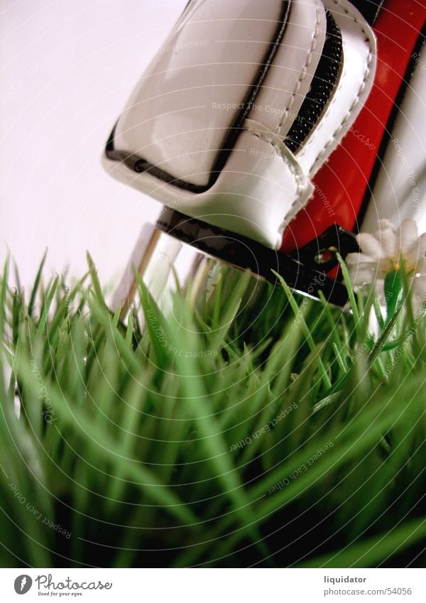 Happy golfing Golfbag Miniatur grün Golfplatz Makroaufnahme Gras Spielen Ballsport Freizeit & Hobby rasenstück Rasen
