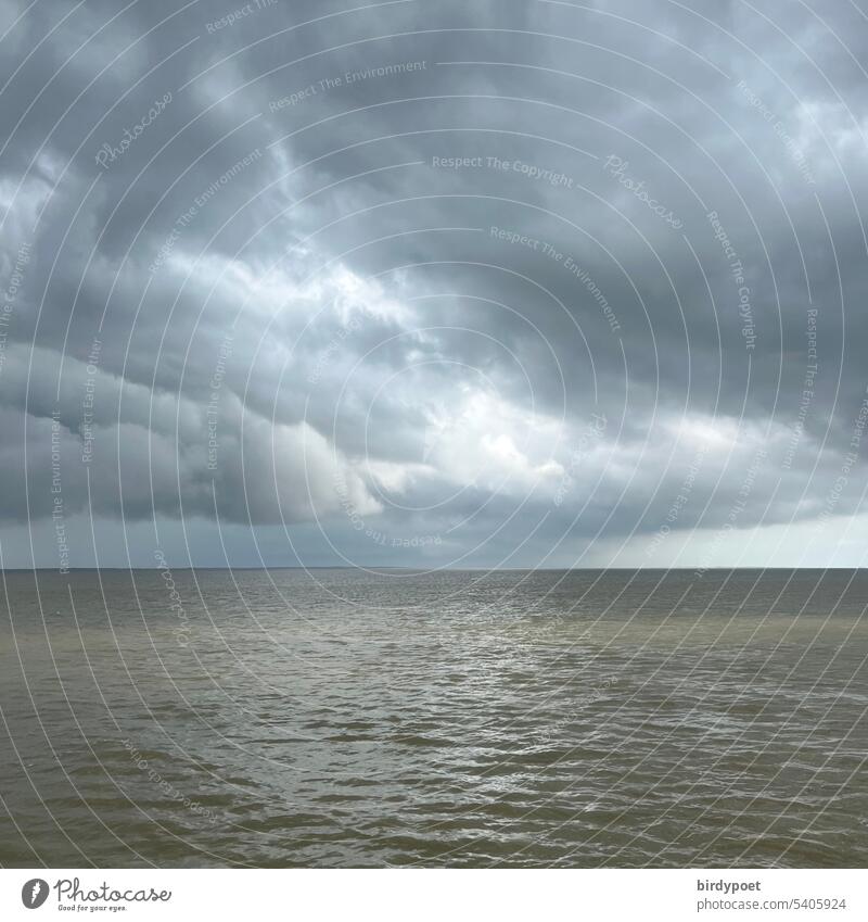 graue Wolkenformation über Wattenmeer bei Flut Sommer Meer Gezeiten Nordsee Horizont Ferne Urlaub&Reisen&Ferien Himmel Erholung nass Regen Gewitterwolken