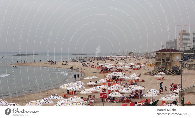Strand von Tel Aviv (Israel). Gut besuchter Stand mit bunten Schirmen. Reisen Meer Mittelmeer Naher Osten Schwimmen Verboten Strandurlaub Meerurlaub Baden