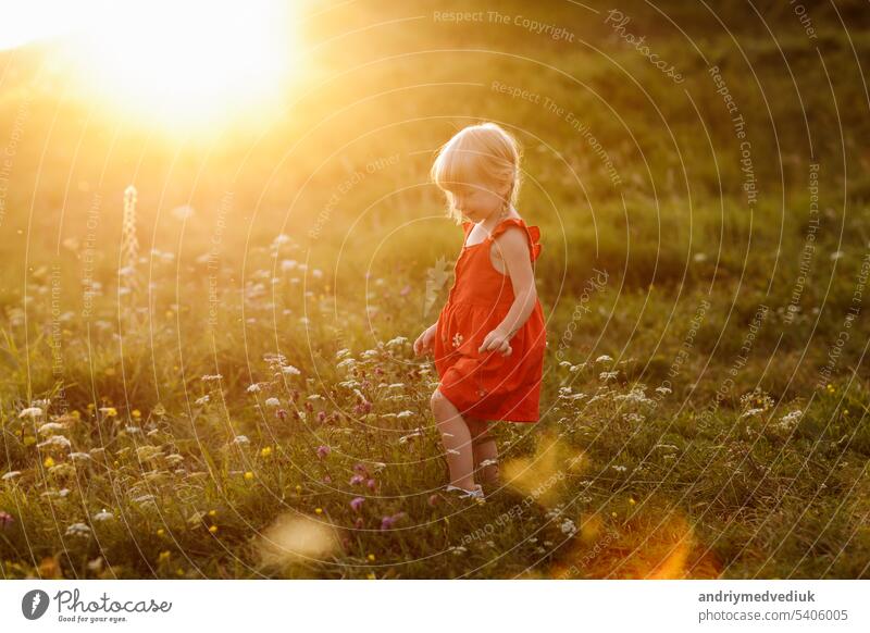 Porträt eines kleinen schönen Mädchens in rotem Kleid in der Natur am Sommertag Urlaub. Das Spielen in der grünen Wiese bei Sonnenuntergang Zeit. Nahaufnahme. Das Konzept der Familie Urlaub und Zeit zusammen.