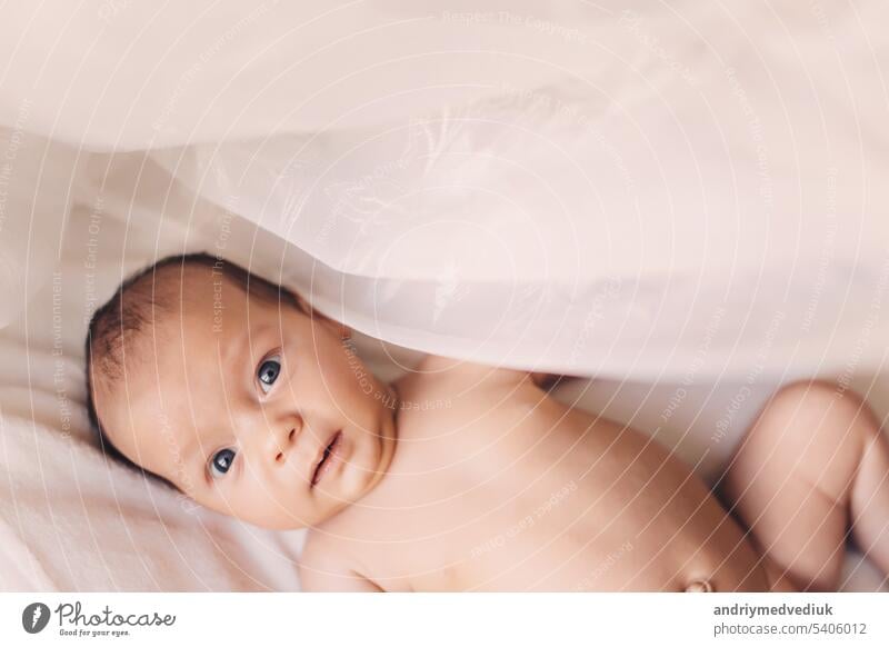 Weiches Bild eines schönen Babys, das zu Hause auf weißem Bettzeug liegt Kind niedlich Mädchen Glück wenig nackt Person Junge Kaukasier Säugling klein Kleinkind