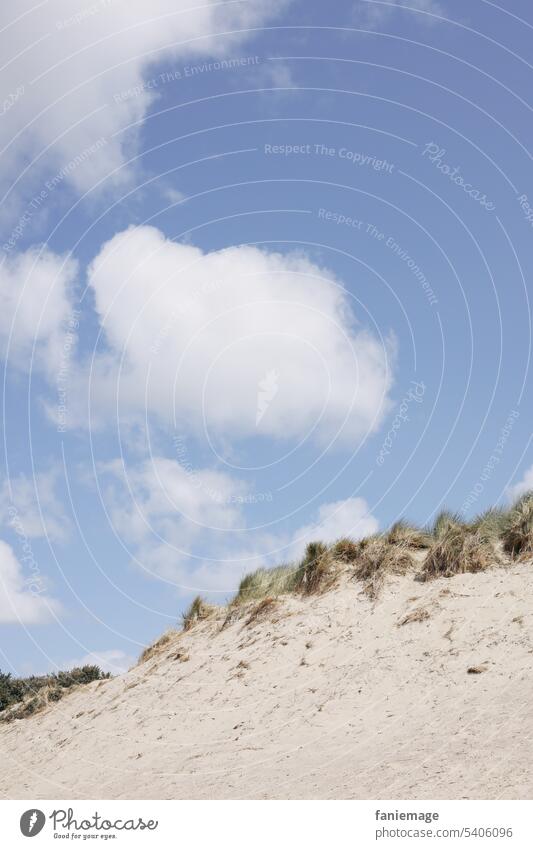 Düne mit Wolken im Hintergrund Sandstrand Cadzand holländisch niederlande Zeeland Schilf Seegras diagonal spaziergang Dünenlandschaft Landschaft sonnig Meer