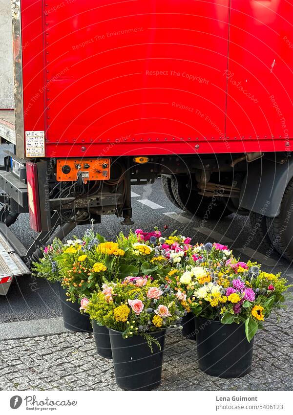 Roter Lastwagen Blumen Sträuße in schwarzen Eimern roter Lastwagen Blumensträuße schwarze Eimer Lieferung Markttag Kopfsteinpflaster Strassenmarkierung