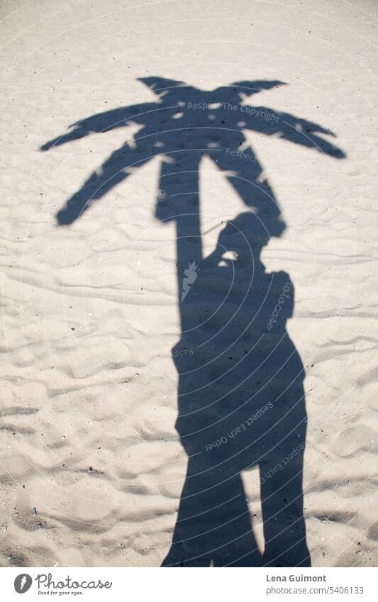 Schatten Selfie mit Palme am Strand Shadow person Sand Ocean Sun Water Summer Woman travel Beach vacation