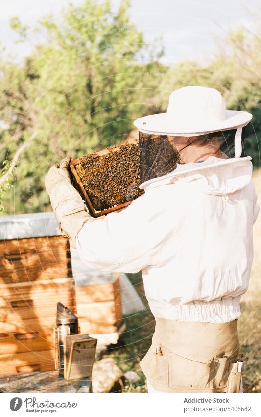 Anonymer Imker mit einem Teil des Bienenstocks im Bienenhaus Bienenkorb behüten Tracht Wabe Mann männlich Uniform Job Natur professionell Landwirt Landschaft