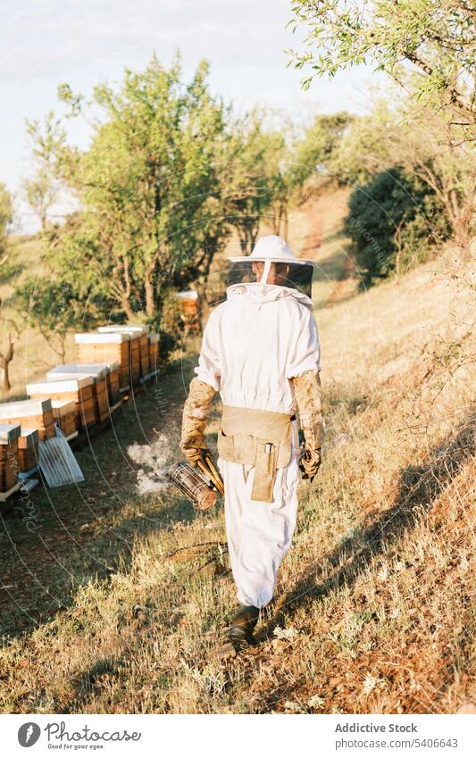 Anonymer Imker mit Raucher bei der Arbeit im Bienenstock Mann Raucherin Bienenkorb Werkzeug Ackerbau behüten professionell prüfen Gerät Uniform Bauernhof Natur