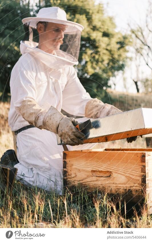 Imker mit Teil des Bienenstocks im Bienenhaus Bienenkorb behüten Tracht Wabe Mann männlich Uniform Job Natur professionell Landwirt Landschaft Arbeit organisch
