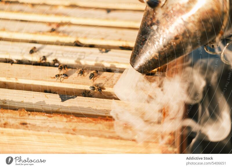Unbekannter Imker bei der Arbeit in der Nähe des Bienenstocks Raucherin Bienenkorb Dunst Garten Landschaft Arbeiter Natur Beruf Metall Gerät professionell