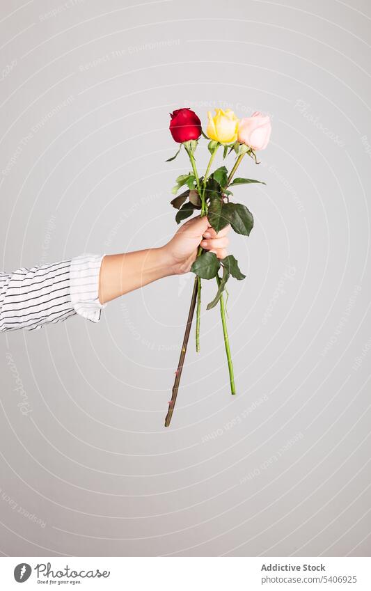 Person mit Rosenstrauß im Atelier Blumenhändler Roséwein Blütezeit Blumenstrauß Haufen Blütenknospen Blatt geblümt Blütenblatt Angebot zerbrechlich frisch