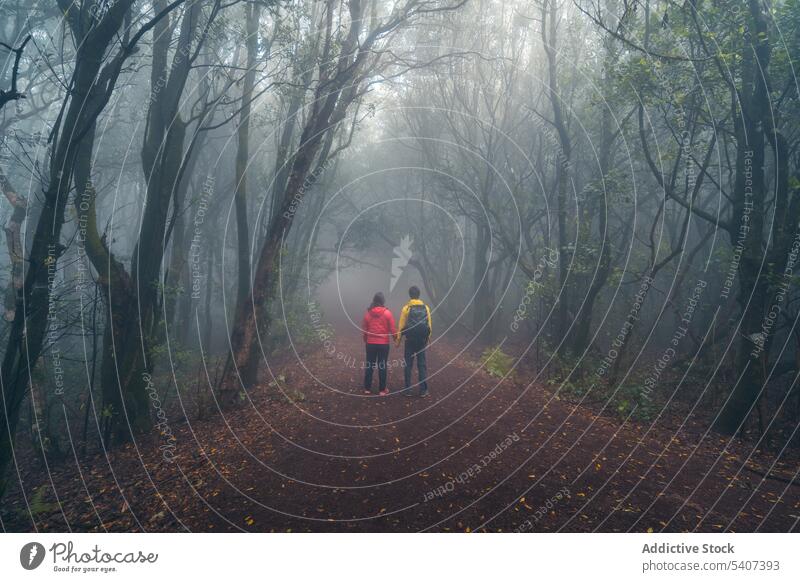 Unkenntlich Paar Reisende zu Fuß auf der Straße in nebligen grünen Bäumen Wald Reisender erkunden Nebel Natur Wälder Weg Ausflug reisen Wanderer Abenteuer