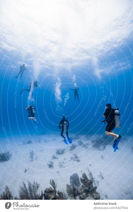Gruppe von Sporttauchern schwimmt unter Wasser Menschen Tauchgerät Taucher Sinkflug schwimmen Schnorchel Schaumblase Meer Cancun Mexiko amerika MEER Mundschutz