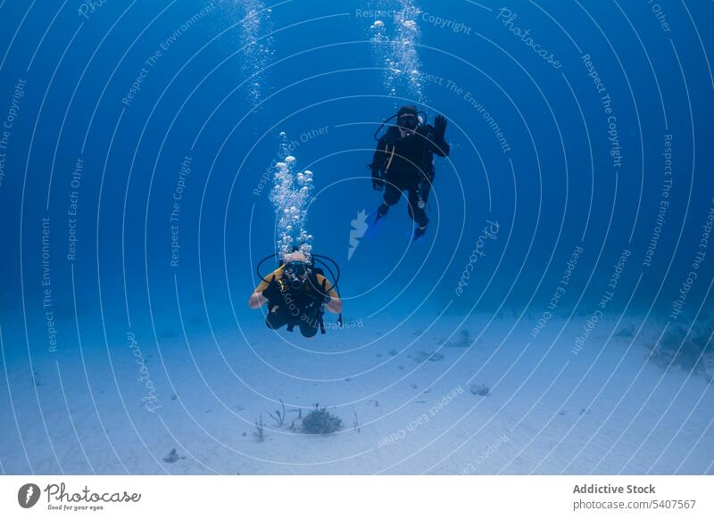 Taucher, die mit Tauchanzug und Maske unter Wasser schwimmen Tauchgerät erkunden unterseeisch Hobby Tourismus Sinkflug Cancun Mexiko amerika Schnorchel