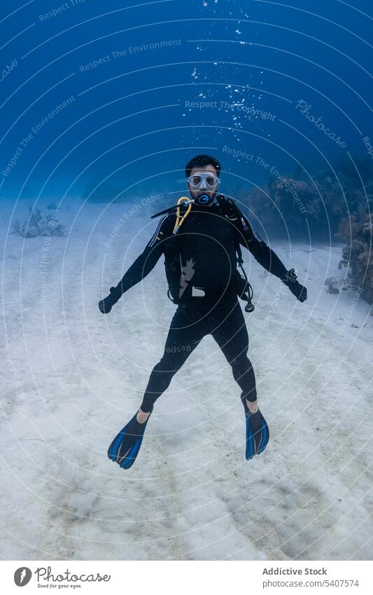 Männlicher Taucher in Tauchanzug und Maske schwimmt unter Wasser Mann Entdecker Tauchgerät tief Gesäß Sinkflug schwimmen Meer Cancun Mexiko amerika Aktivität