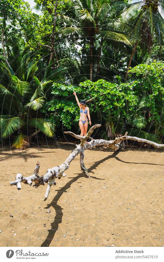 Weiblicher Tourist steht auf trockenem Baumstamm am Strand Frau trocknen Kofferraum Palme tropisch exotisch Resort sorgenfrei jung uvita Puntarenas Costa Rica