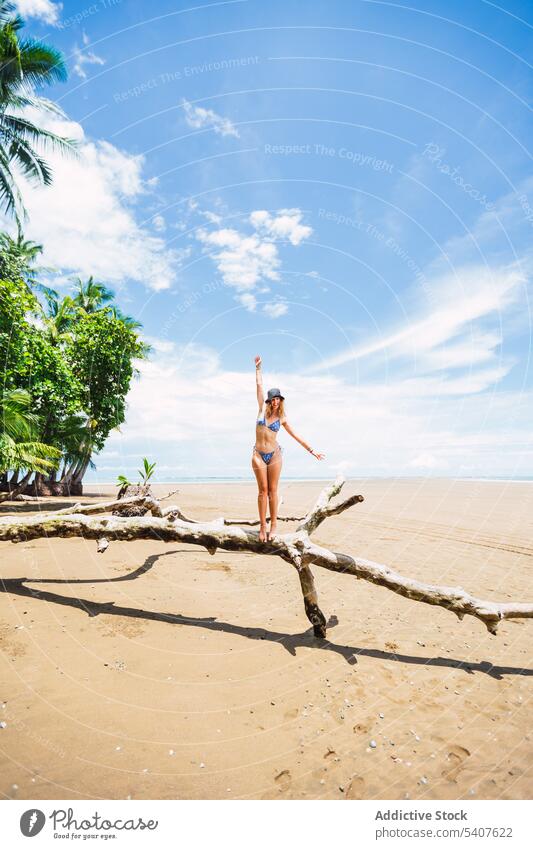 Weiblicher Tourist steht auf trockenem Baumstamm am Strand Frau trocknen Kofferraum Palme tropisch exotisch Resort sorgenfrei jung uvita Puntarenas Costa Rica