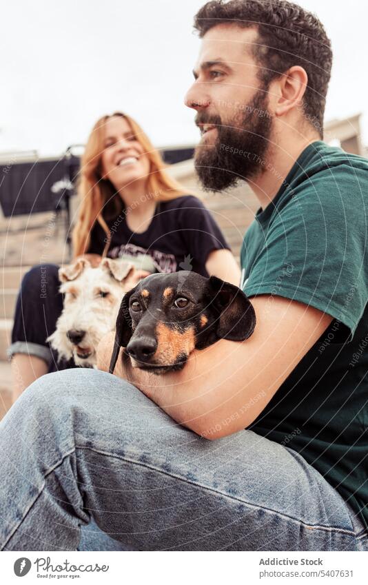 Glückliches Paar sitzt mit Hunden auf einer Treppe Besitzer Umarmung Umarmen Zeit verbringen Fox-Terrier Dackel Treppenhaus Haustier Lächeln jung lässig brünett
